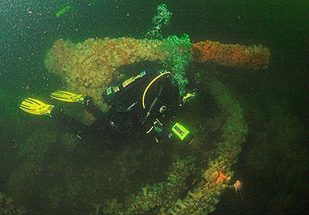 Diver and bow gun on wreck of H.M.S. Saucy.
Firth of For... by Mike Clark 