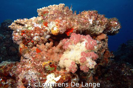 Sodwana glitter by Louwrens De Lange 