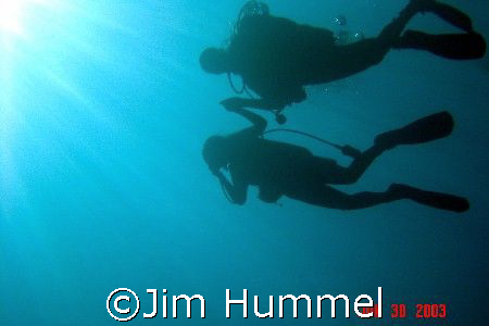 Photo taken off Majuro in June 2003. by Jim Hummel 
