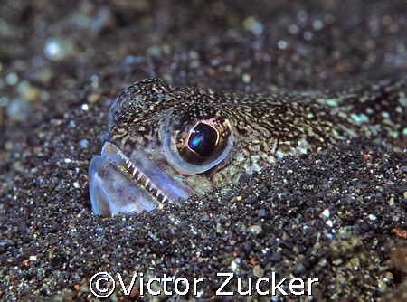 watch your hands by Victor Zucker 