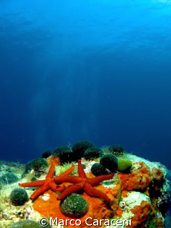 Colours of Adriatic Sea. by Marco Caraceni 