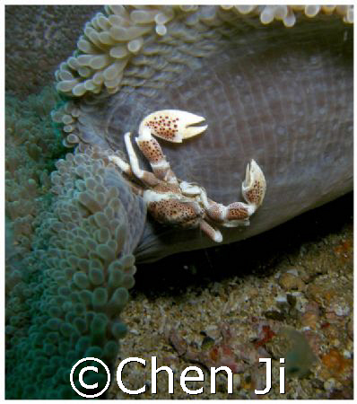 just on the other side. :) by Chen Ji 