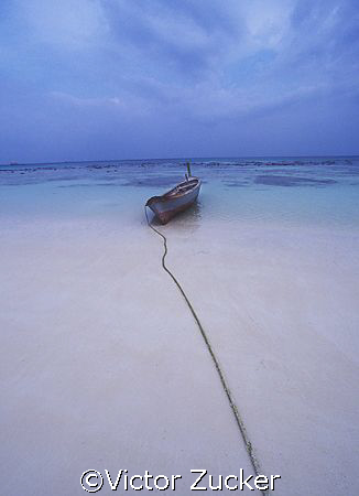looks like a watercolor painting by Victor Zucker 