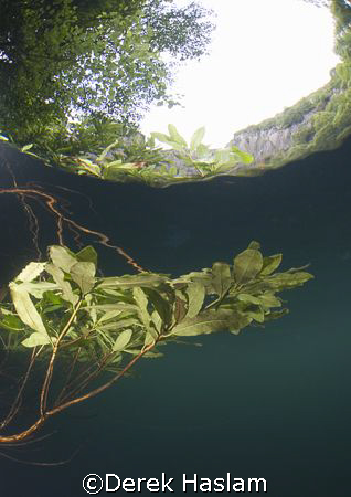 Reflections. Vivian quarry. D200, 10.5mm. by Derek Haslam 
