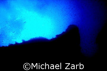 Window to the shoals by Michael Zarb 