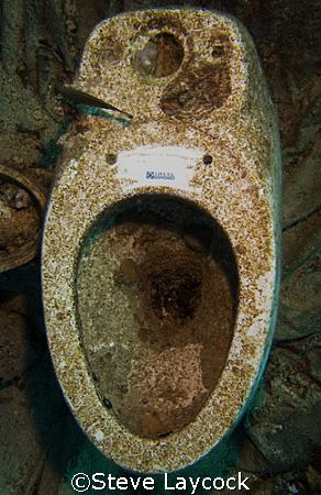 Ideal Standard - the most photographed loo in the world?
... by Steve Laycock 