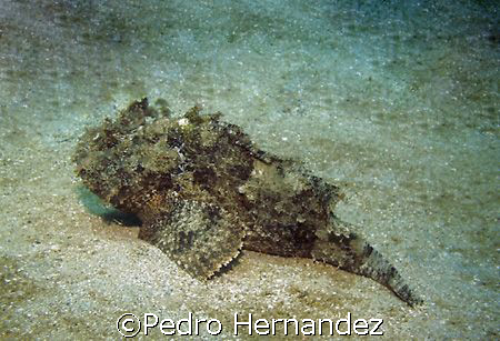 Crash Boat ,Aguqdilla, Puerto Rico,Camera DC200 by Pedro Hernandez 