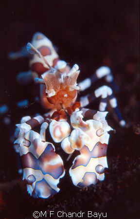Seraya _ tulamben, Bali
 by M F Chandr Bayu 