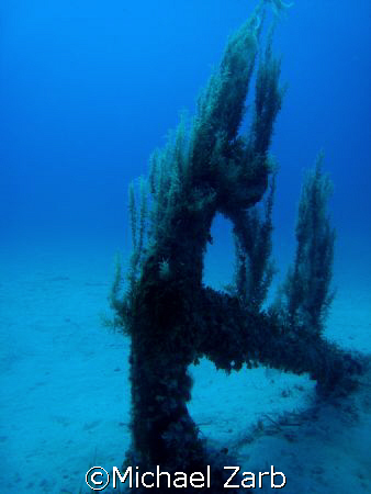 Weeping anchor - Natural light at Ciirkowwa point just be... by Michael Zarb 