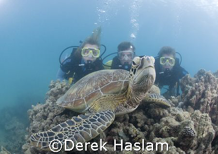 Say cheese! Lowe islands. D200, 10.5mm. by Derek Haslam 
