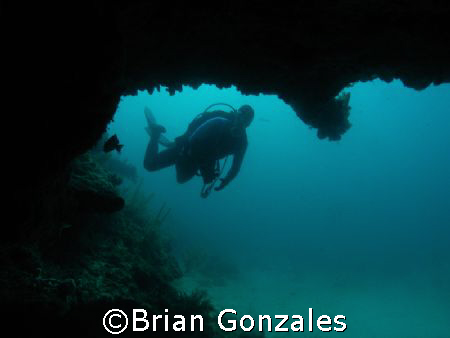 Diver in Key Large by Brian Gonzales 
