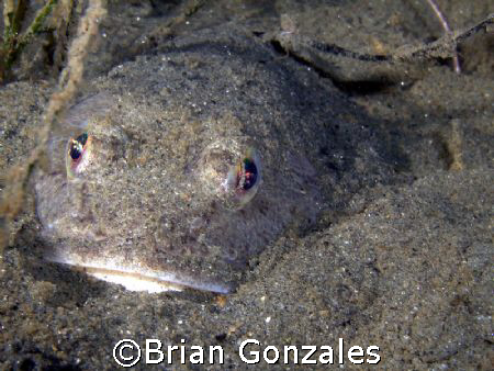 Redondo Beach, CA by Brian Gonzales 