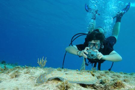 Flounder and diver.   by David Heidemann 