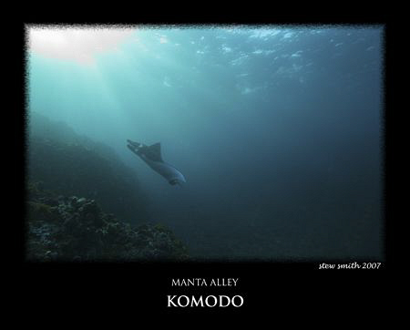 i was fighting a 5-6 knot current to take this shot.  by Stewart Smith 