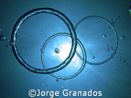 So dificult to make and made the picture in Rosario Island by Jorge Granados 