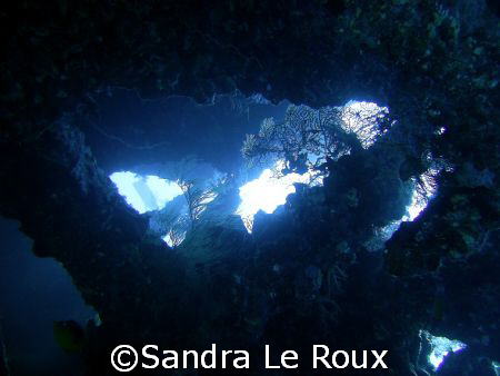 Wreck:  Dan Raven by Sandra Le Roux 