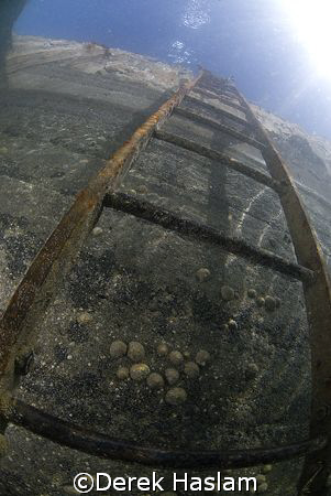 Ladder. Trefor pier. D200, 10.5mm. by Derek Haslam 