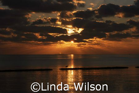 Early morning "fishing for breakfast" trip..... by Linda Wilson 