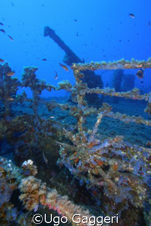 The KT12 wreck. Orosei, Sardinia.  by Ugo Gaggeri 