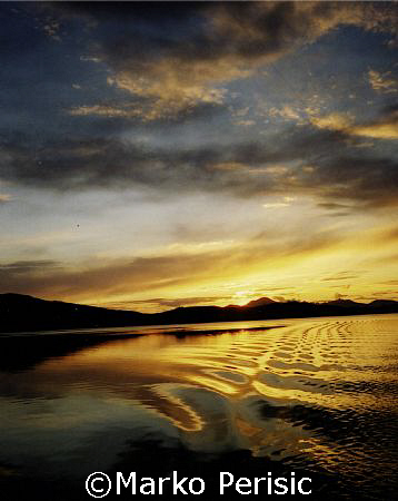 Perfect conditions for a night dive Calvi Corsica by Marko Perisic 