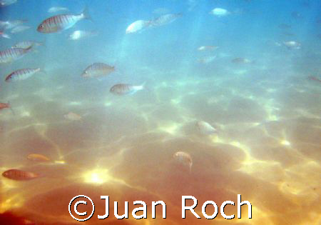 sun store  by Juan Roch 