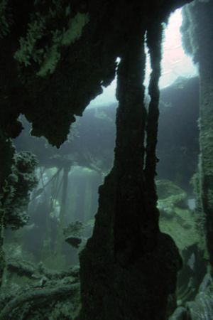 Indra Wreck, Carolina.  D70, 12-24 mm lens, no strobe.  by David Heidemann 