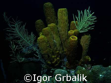"Just look..." by Igor Grbalik 