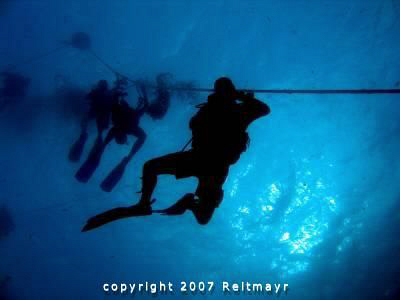 Flo with students descending to the King Cruiser Wreck be... by Tobias Reitmayr 