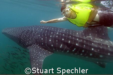 I think there's something in the water.  
Swimmer with w... by Stuart Spechler 