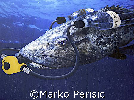 High on H20 by Marko Perisic 
