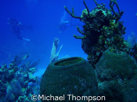 Divers in the distance by Michael Thompson 