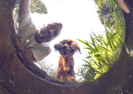 Looking for frogs.
Garden pond, Northwich.
10.5mm. Natu... by Mark Thomas 