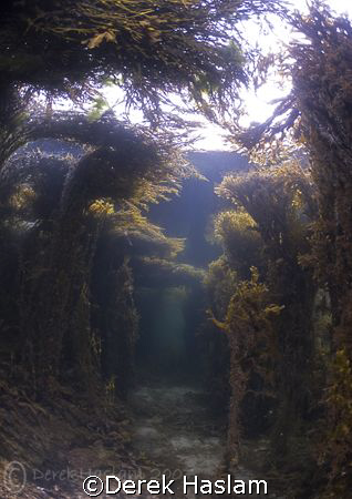 Shallow's. Connemara. D200, 10.5mm. by Derek Haslam 