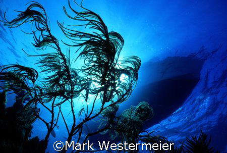 Image of dive boat taken near Key Largo with a Nikonos V,... by Mark Westermeier 
