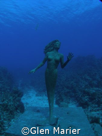 Since the mermaid held that pose until I got there....Gra... by Glen Marier 