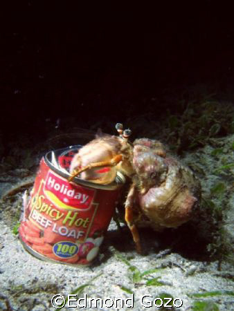 Night dive just off the shore in Sogod Bay, Leyte. Looks ... by Edmond Gozo 