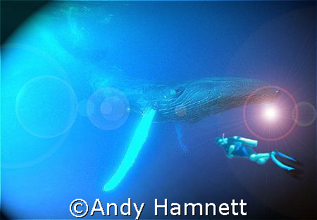 A bit of fun using Photoshop. My dream!  by Andy Hamnett 