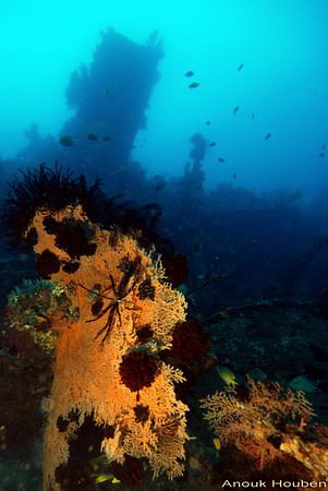 Picture taken at the wreck of the U.S.A.T Liberty at Tula... by Anouk Houben 