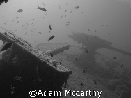 Guns on stern of thistlegorm. by Adam Mccarthy 