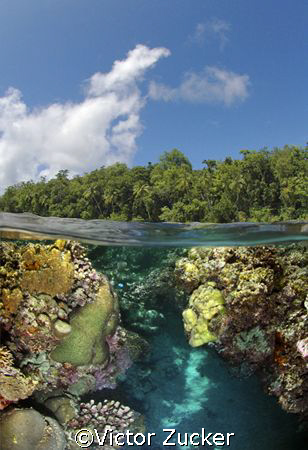 capturing light both above and below by Victor Zucker 