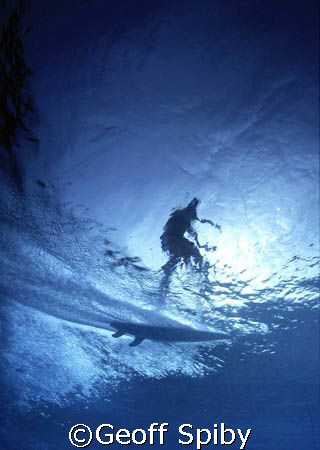 surfer by Geoff Spiby 