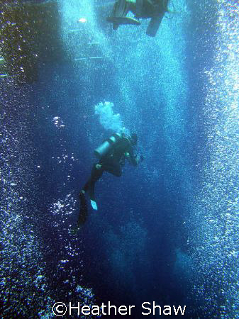 Into the bubbles by Heather Shaw 