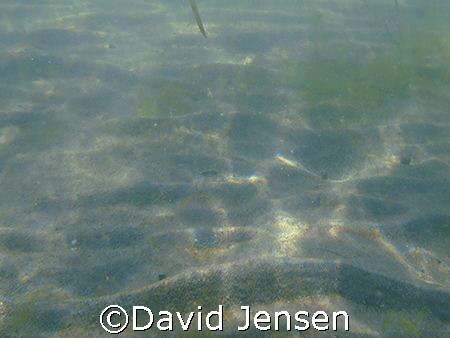Some nice sunshine going through the water by David Jensen 