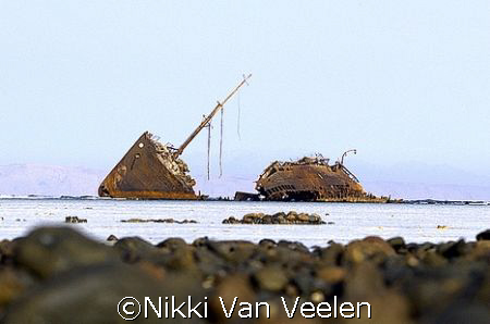 Maria Schroeder wreck in the Nabq Park, Sinai with Saudi ... by Nikki Van Veelen 