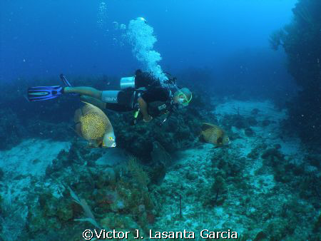 flying high in the reef in parguera wall!!!!! by Victor J. Lasanta Garcia 