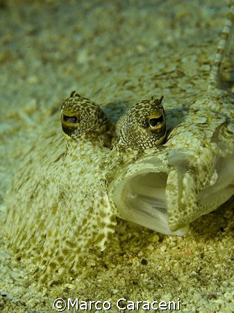 UAHHH..I GO TO SLEEP! by Marco Caraceni 