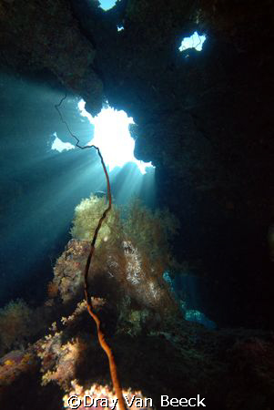 St.Johns caves. Nikon D80, 10-20 sigma. by Dray Van Beeck 