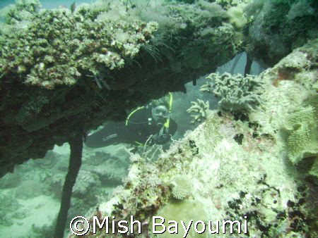Gail looking up at me through the chicken wreck, jeddah. ... by Mish Bayoumi 