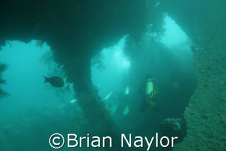 "Diving in line" US liberty by Brian Naylor 