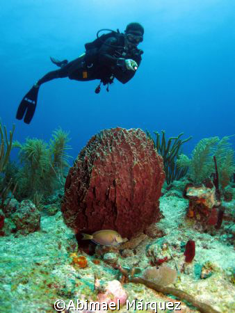 Juan Torres, La Parguera, Puerto Rico by Abimael Márquez 